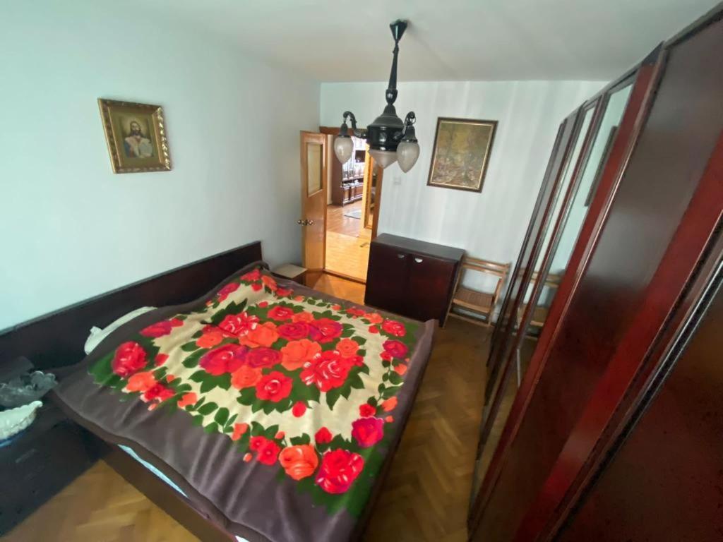 דירות קונסטנצה Apartament Kita View מראה חיצוני תמונה